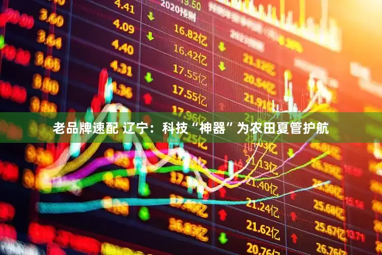老品牌速配 辽宁：科技“神器”为农田夏管护航