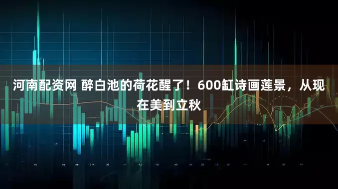 河南配资网 醉白池的荷花醒了！600缸诗画莲景，从现在美到立秋