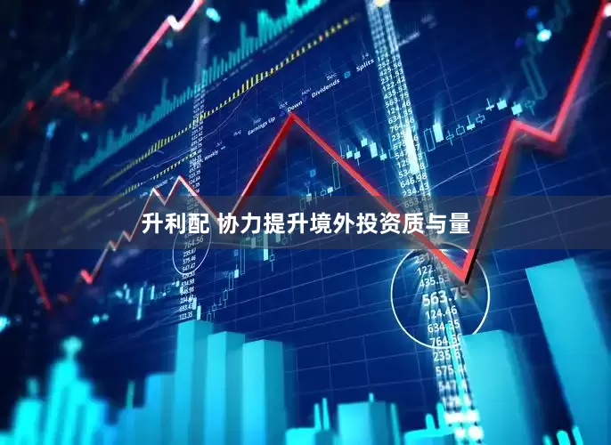 升利配 协力提升境外投资质与量