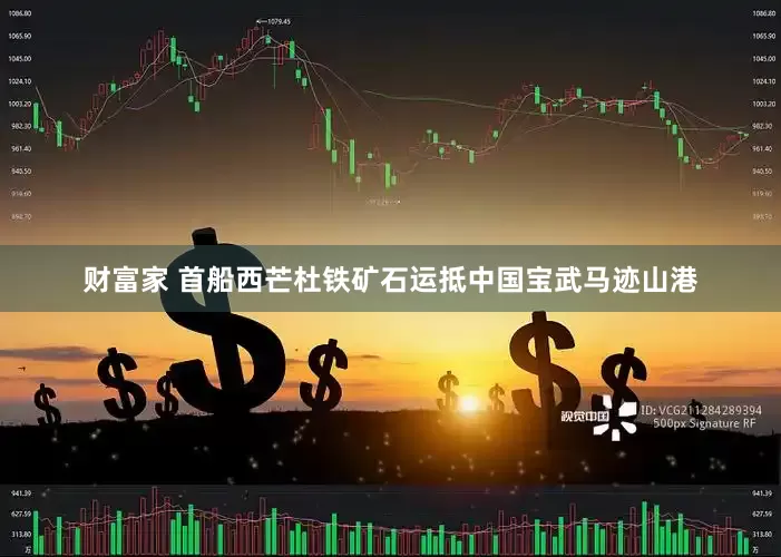 财富家 首船西芒杜铁矿石运抵中国宝武马迹山港
