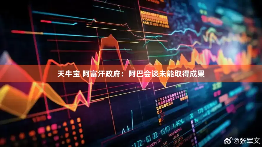 天牛宝 阿富汗政府：阿巴会谈未能取得成果