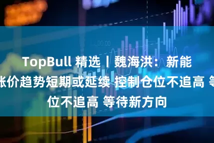 TopBull 精选丨魏海洪：新能源原材料涨价趋势短期或延续 控制仓位不追高 等待新方向