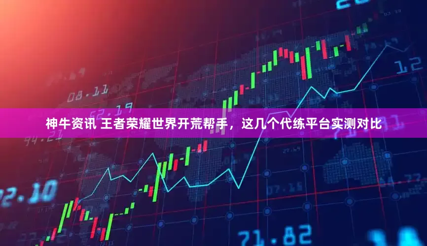 神牛资讯 王者荣耀世界开荒帮手，这几个代练平台实测对比